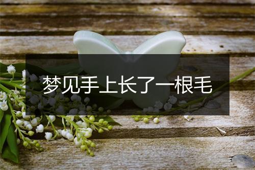 梦见手上长了一根毛