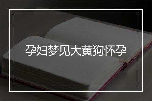 孕妇梦见大黄狗怀孕