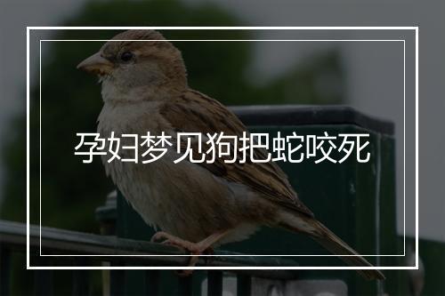 孕妇梦见狗把蛇咬死