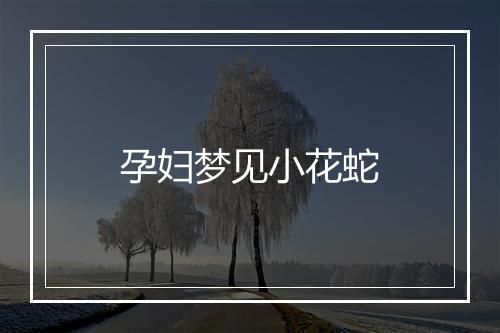 孕妇梦见小花蛇