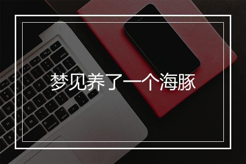 梦见养了一个海豚