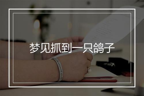 梦见抓到一只鸽子