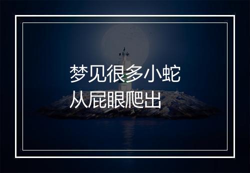 梦见很多小蛇从屁眼爬出