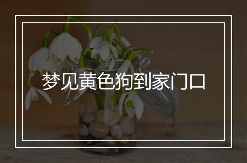 梦见黄色狗到家门口