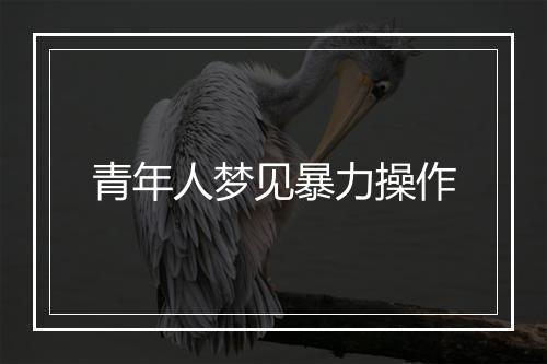 青年人梦见暴力操作