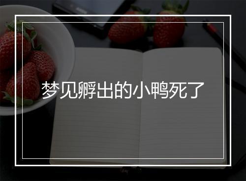 梦见孵出的小鸭死了