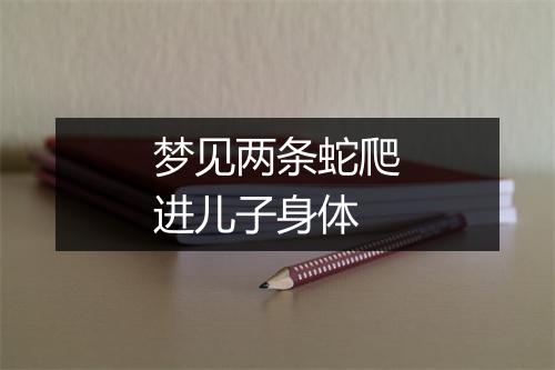 梦见两条蛇爬进儿子身体