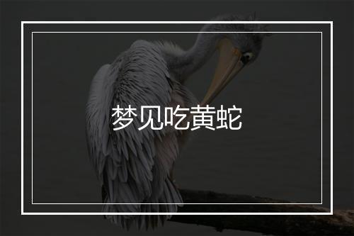 梦见吃黄蛇