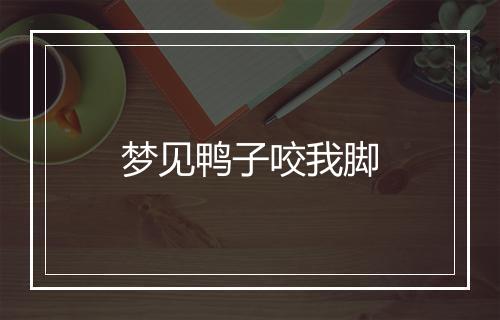 梦见鸭子咬我脚