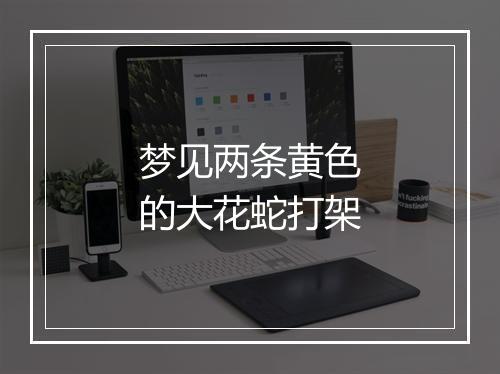 梦见两条黄色的大花蛇打架