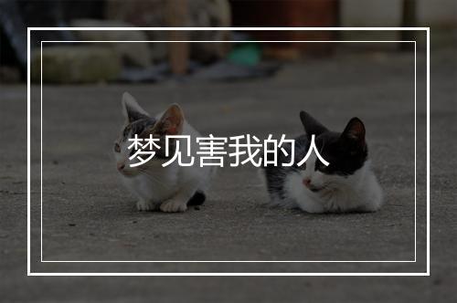 梦见害我的人