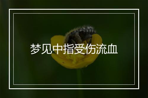 梦见中指受伤流血