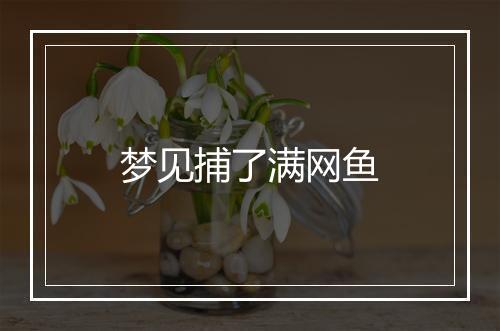 梦见捕了满网鱼