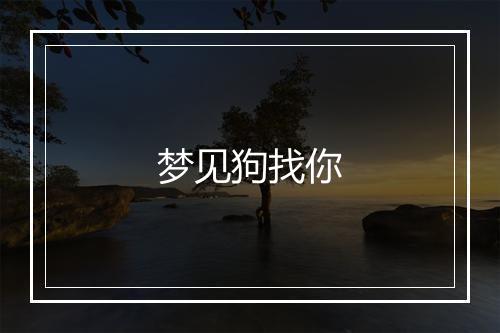 梦见狗找你