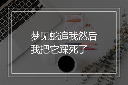 梦见蛇追我然后我把它踩死了