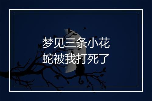 梦见三条小花蛇被我打死了