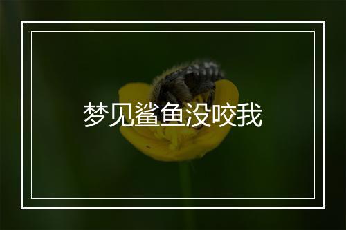 梦见鲨鱼没咬我