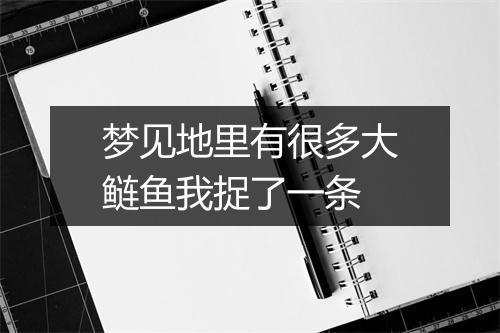 梦见地里有很多大鲢鱼我捉了一条