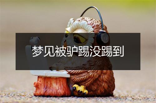 梦见被驴踢没踢到