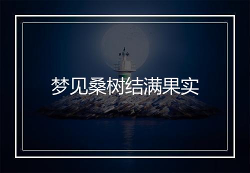 梦见桑树结满果实