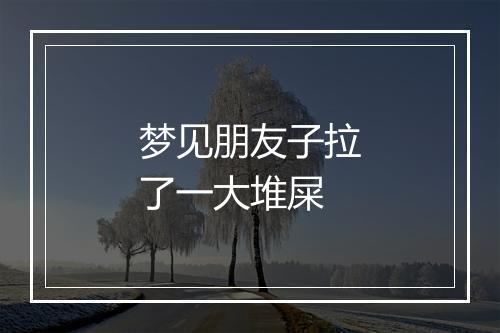 梦见朋友子拉了一大堆屎