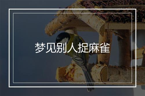 梦见别人捉麻雀