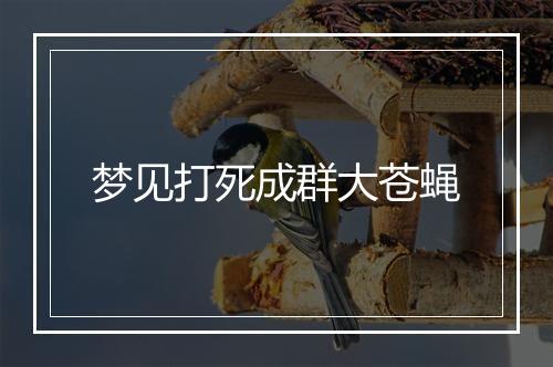 梦见打死成群大苍蝇