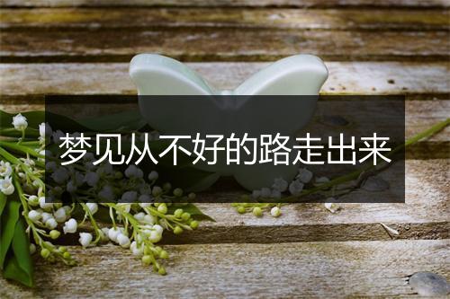 梦见从不好的路走出来