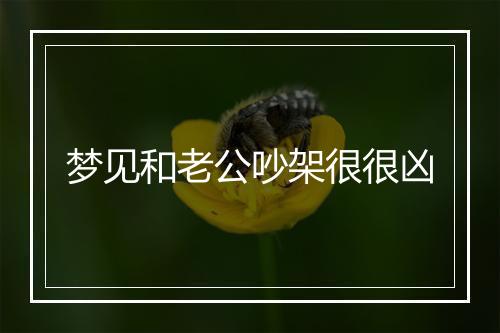 梦见和老公吵架很很凶