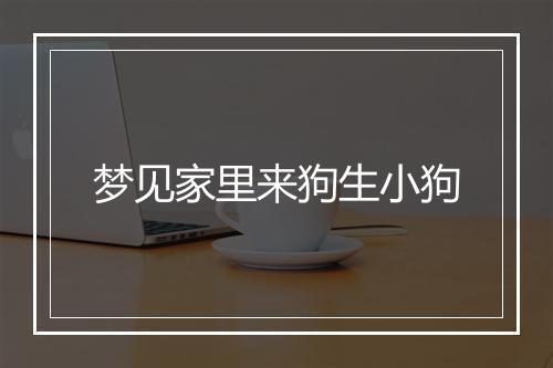 梦见家里来狗生小狗