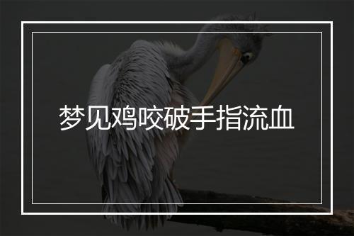 梦见鸡咬破手指流血