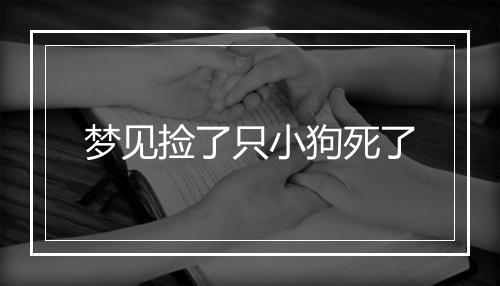 梦见捡了只小狗死了