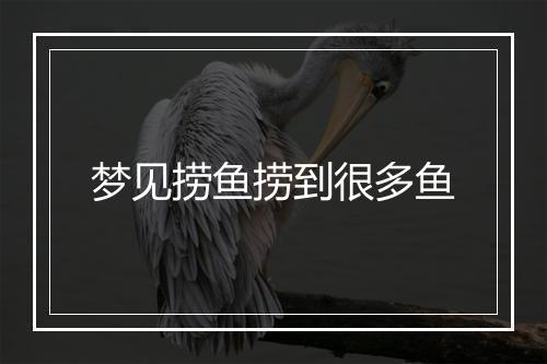 梦见捞鱼捞到很多鱼