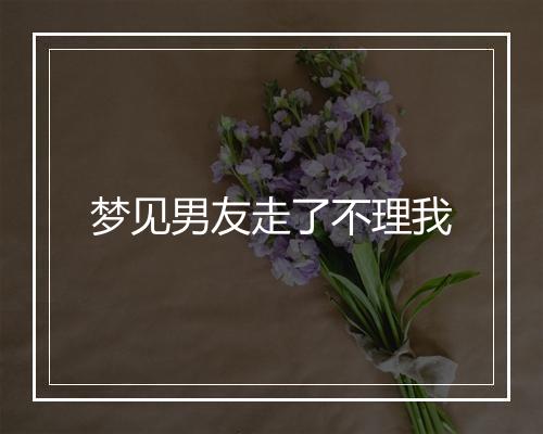 梦见男友走了不理我