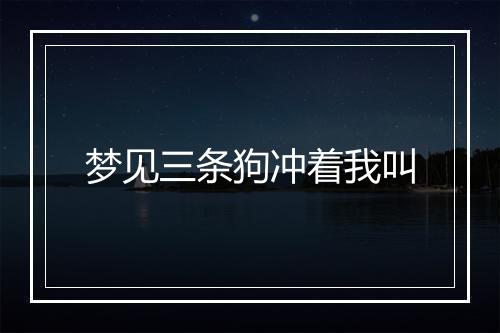 梦见三条狗冲着我叫