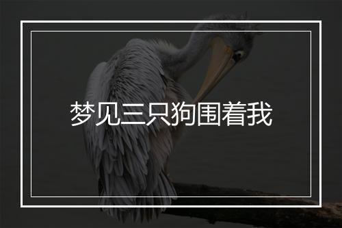 梦见三只狗围着我