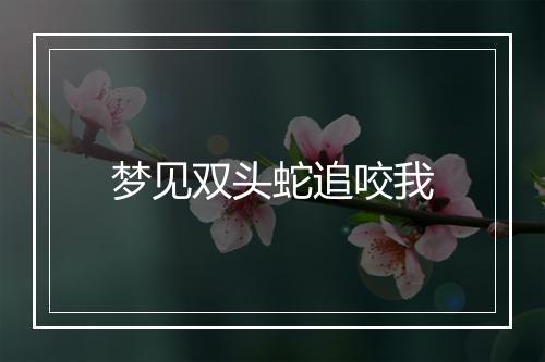 梦见双头蛇追咬我