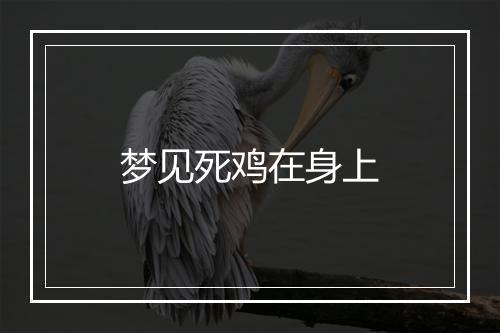 梦见死鸡在身上