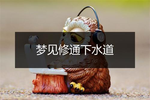 梦见修通下水道