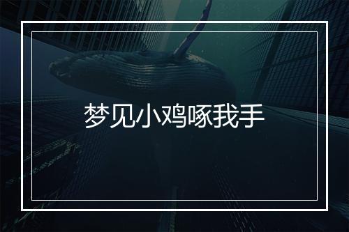 梦见小鸡啄我手