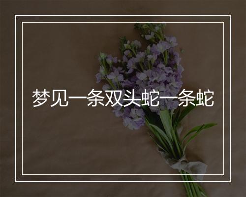 梦见一条双头蛇一条蛇