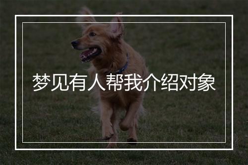 梦见有人帮我介绍对象