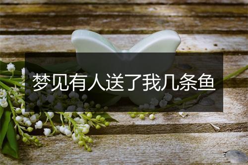 梦见有人送了我几条鱼