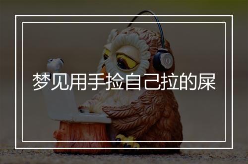 梦见用手捡自己拉的屎