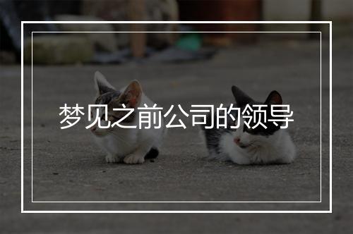 梦见之前公司的领导