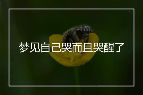 梦见自己哭而且哭醒了