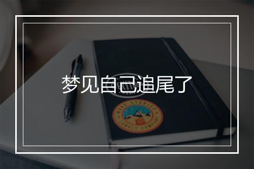 梦见自己追尾了