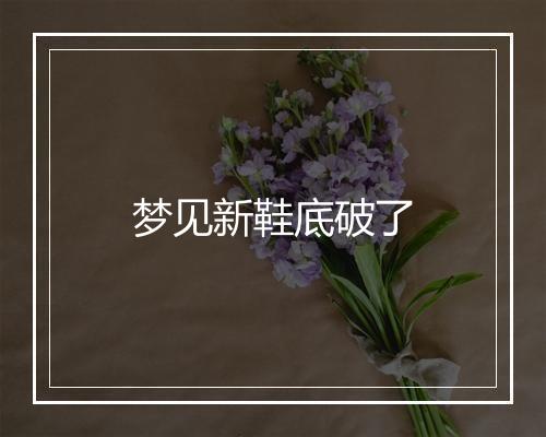 梦见新鞋底破了