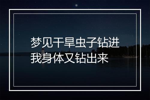 梦见干旱虫子钻进我身体又钻出来