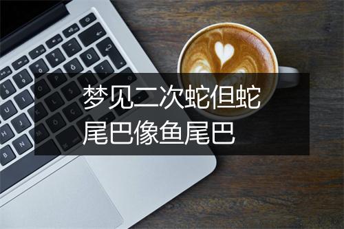 梦见二次蛇但蛇尾巴像鱼尾巴